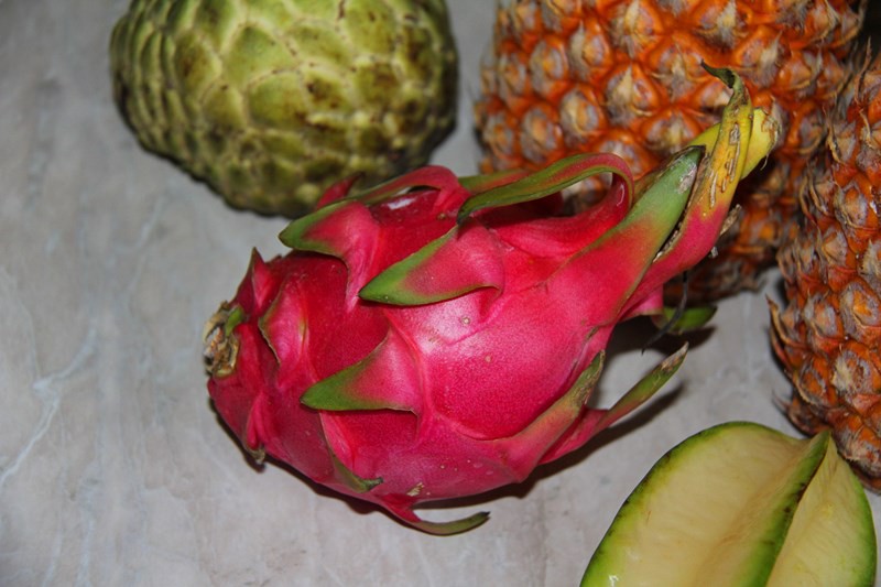 Dragon-fruit