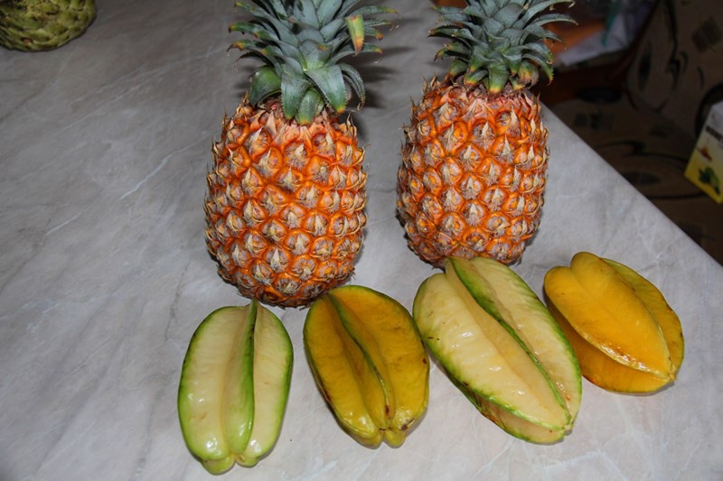 Ma-Feung