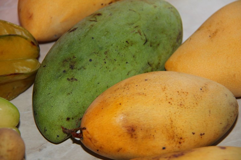 Mango