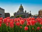Туры в Санкт-Петербург